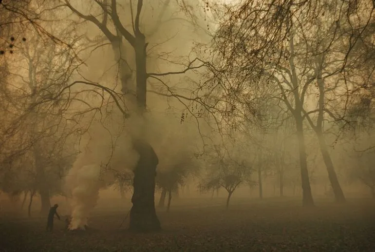 Image: Hyde Park, London, England