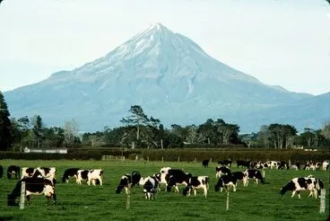Image: Dairy farm, Taranaki