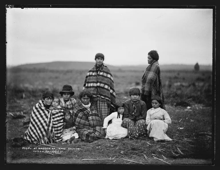 Image: At Haerehuka, King Country