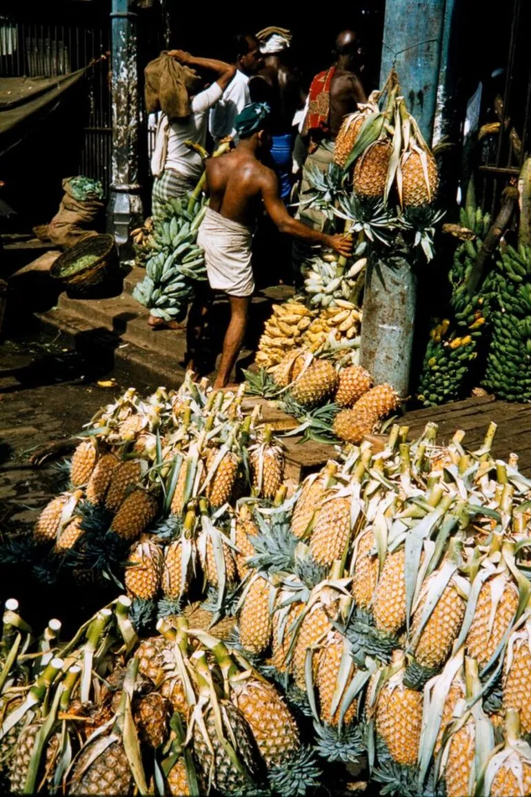 Image: Ceylon (Sri Lanka)