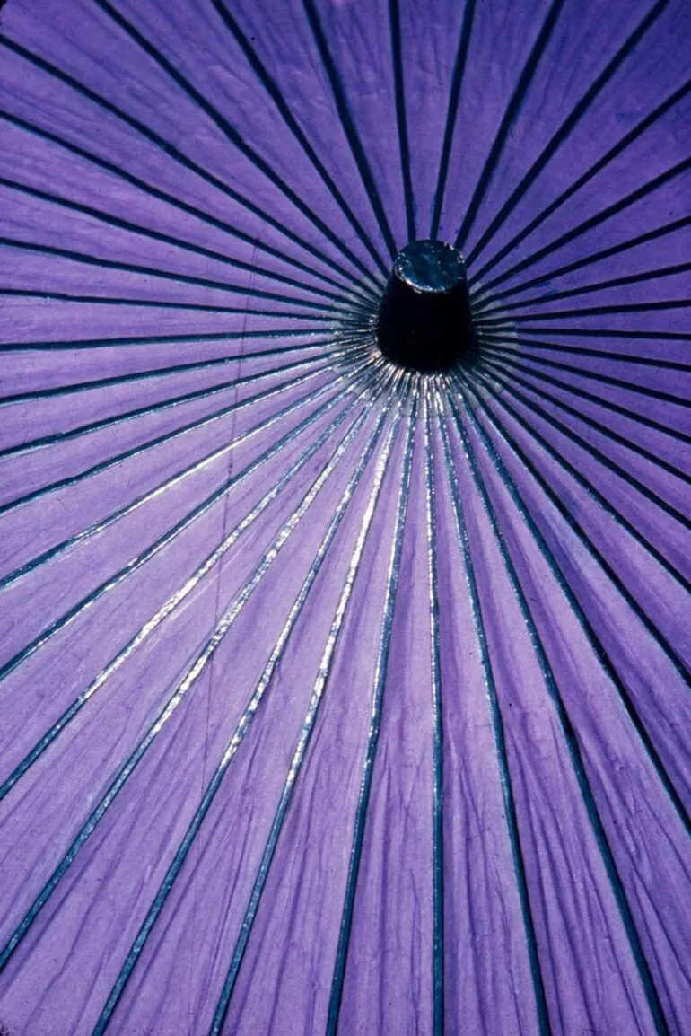 Image: Japan Series: Purple Umbrella