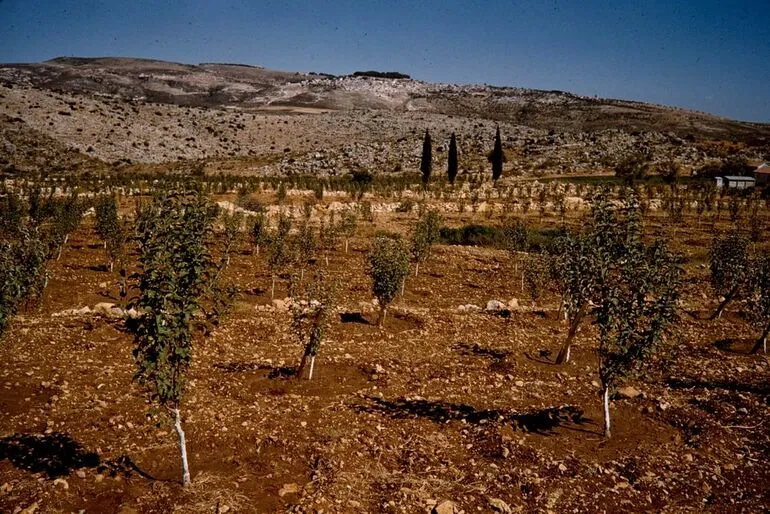 Image: Israel: Jerusalem