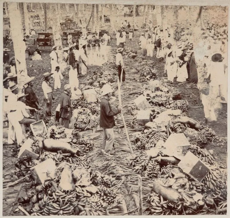 Image: Bananas, pigs and other food waiting to be served. From the album: Cook Islands