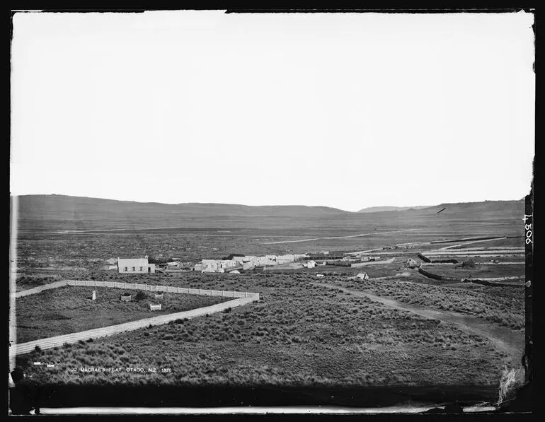 Image: MacRae's Flat, Otago, NZ