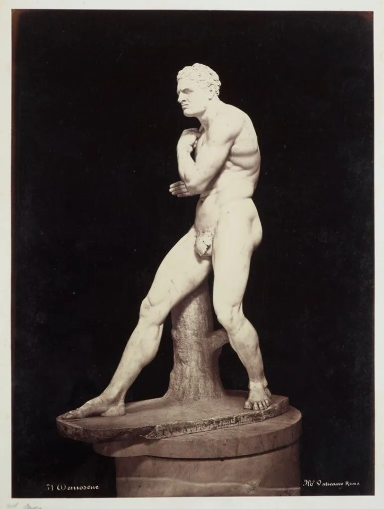 Image: The Boxer
