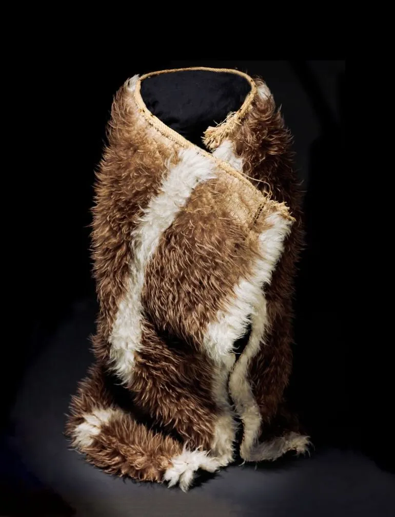 Image: Kahu kiwi (kiwi feather cloak)