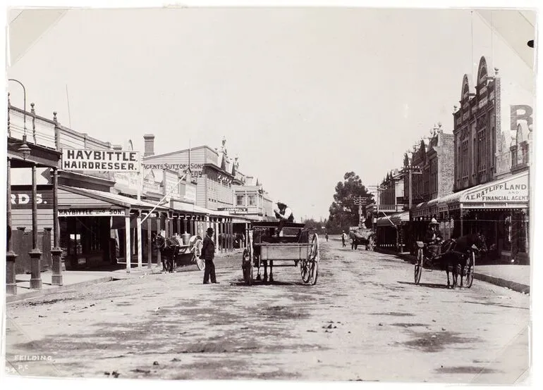 Image: Street in Feilding