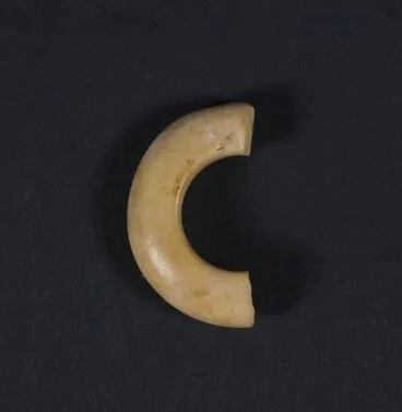 Image: Ring fragment