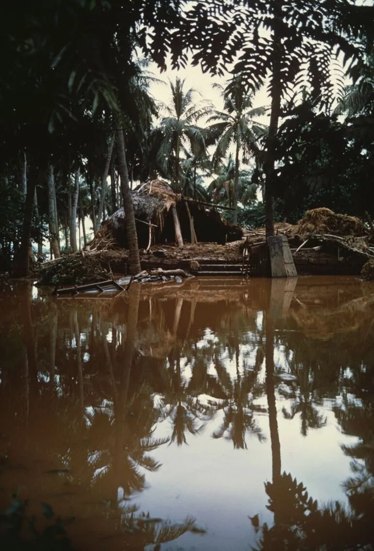 Image: [House damaged by flooding. (From the series 'Monsoon')]