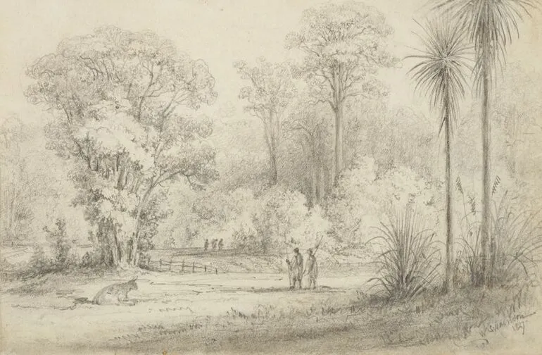 Image: Hutt Road, from the windows of Hawkeshead