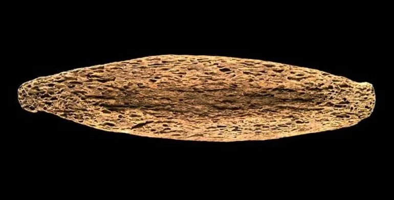Image: Kauawhi (fish hook shank)