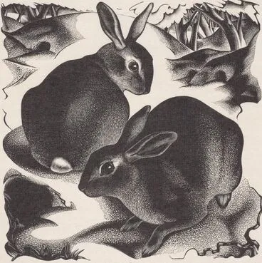 Image: Two rabbits