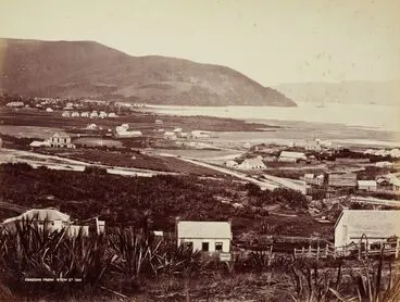 Image: Dunedin from View St