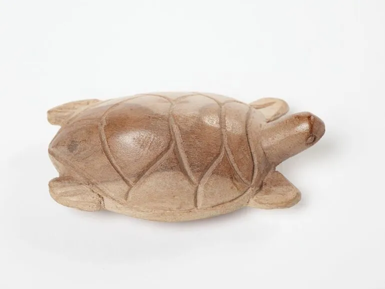Image: Turtle carving