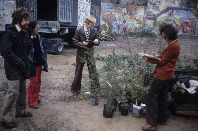 Image: Native plants delivered to the cabbage patch site