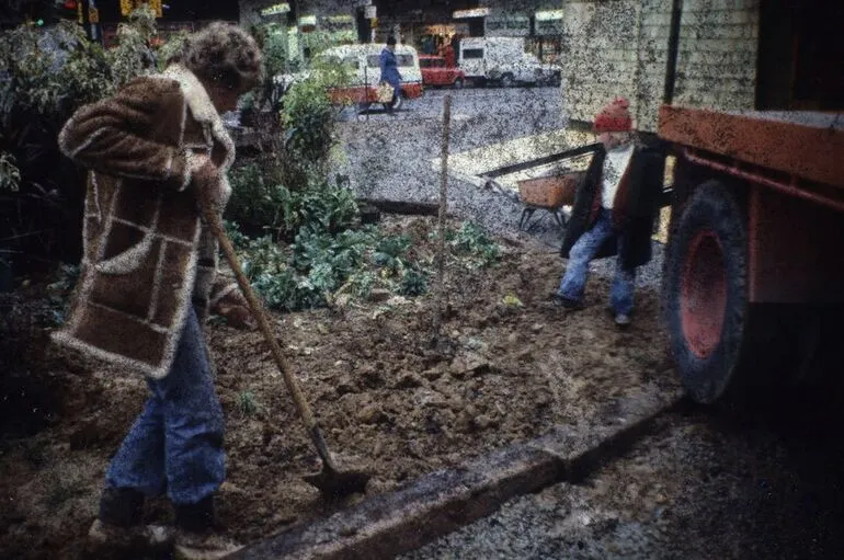 Image: Barry Thomas raking the cabbage patch