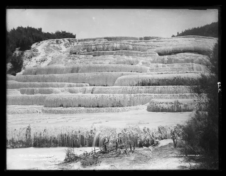 Image: Pink Terrace