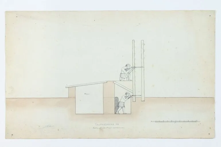 Image: Taurangahika Pa, Section of outer Trench and Pallisades [Sic]