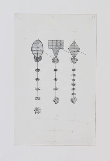Image: Drawings of kites (for Games and Pastimes of the Maori by Elsdon Best)