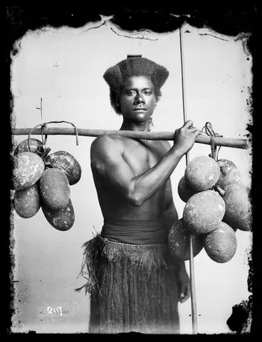 Image: Fijian man carrying breadfruit