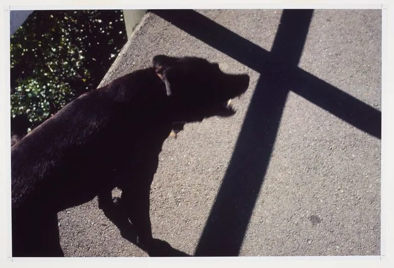 Image: Black dog and cross