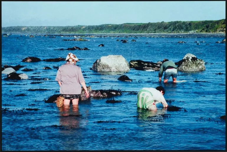 Image: Waipapa, Motunui, Ngati Rahiri. From: Te iwi o te wahi kore