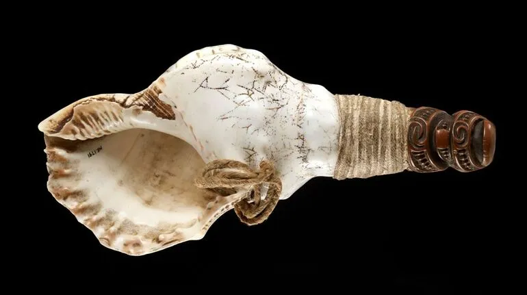 Image: Pūtātara (trumpet)
