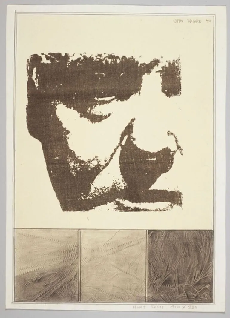Image: Haast series
