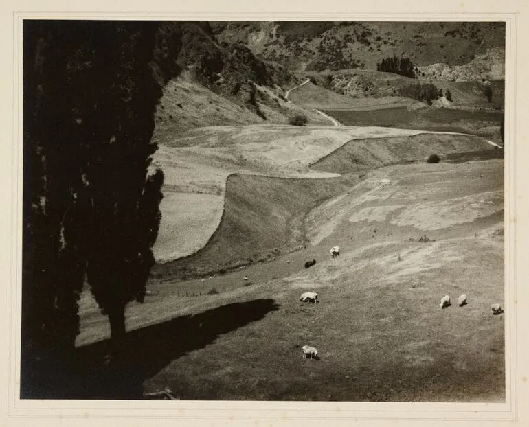 Image: Untitled [Pastoral scene with sheep]
