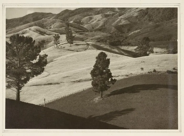 Image: Untitled [pasture landscape]