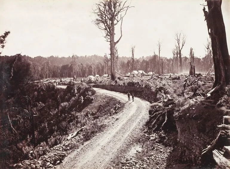Image: "Ecatahuna" [Eketahuna], The Forty Mile Bush, NZ. From the album: Views of New Zealand Scenery/Views of England, N. America, Hawaii and N.Z.