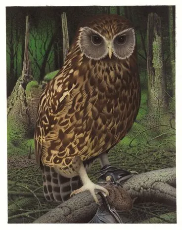 Image: Laughing Owl / Whekau . Sceloglaux albifacies. From the series: Extinct Birds of New Zealand.