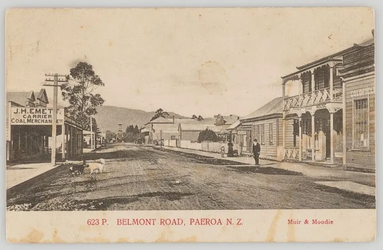 Image: Belmont Road, Paeroa, New Zealand