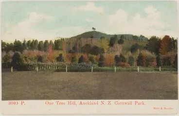 Image: One Tree Hill, Auckland, New Zealand, Cornwall Park