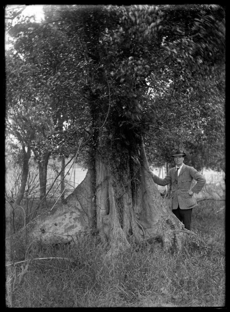 Image: Nature Studies - 1929