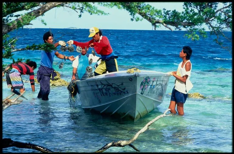 Image: Group with pearl shells in lagoon, Cook Islands