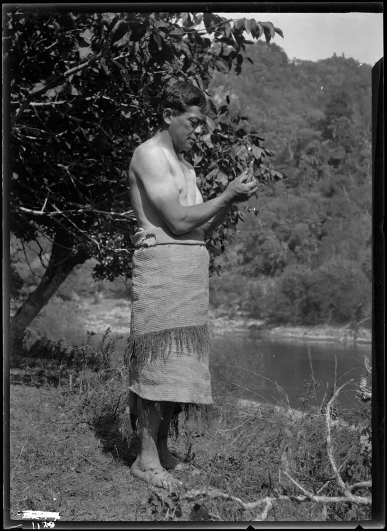 Image: Maori method of measurement (2nd)