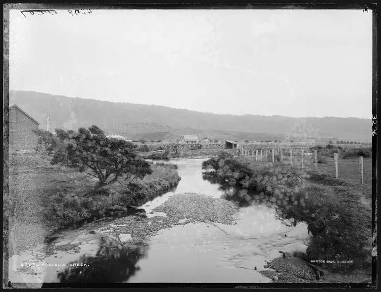 Image: Porirua Creek