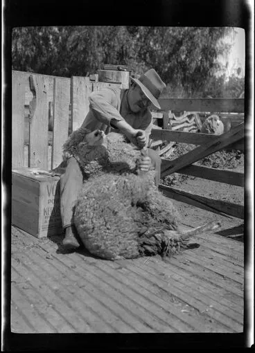Image: Man with a sheep