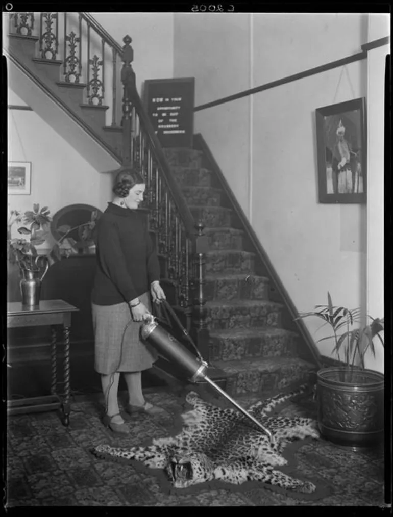 Image: Electrolux vacuum cleaner demonstration