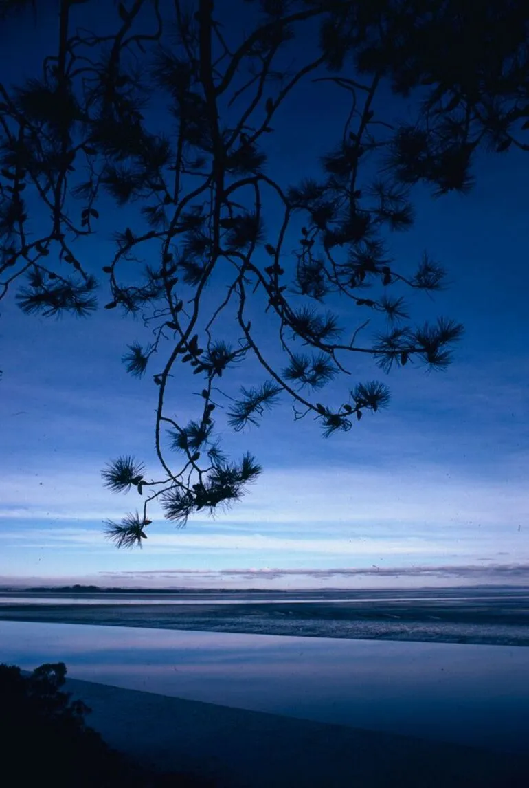 Image: New Zealand Scenery: