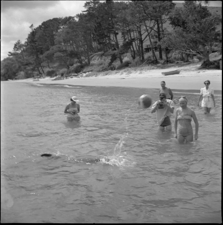 Image: Opo the dolphin, Opononi