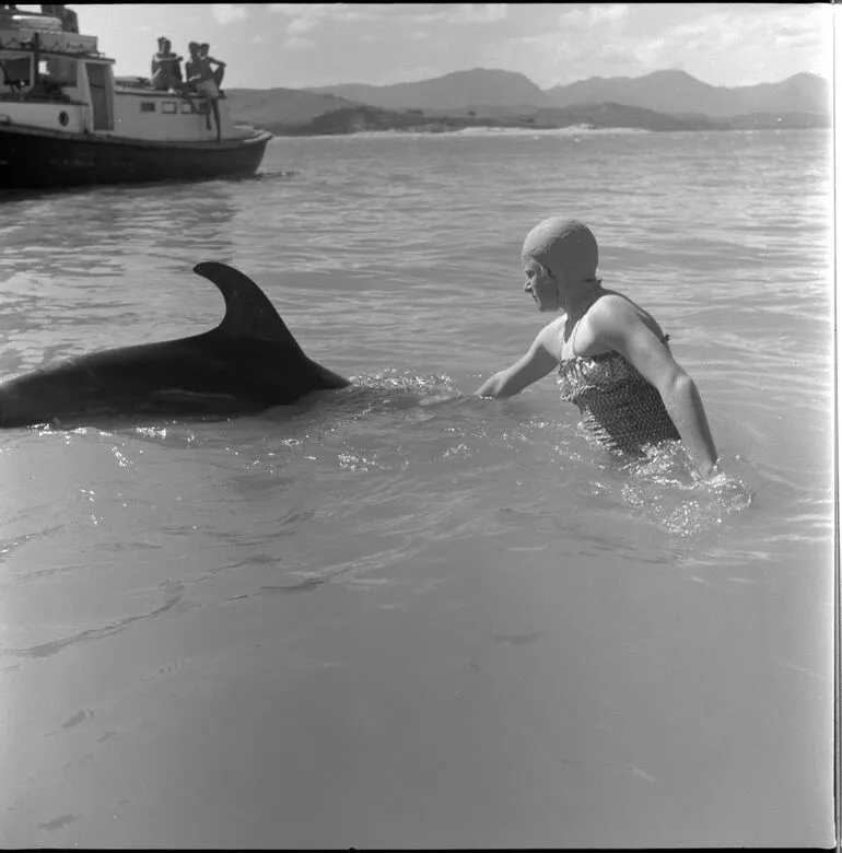 Image: Opo the dolphin, Opononi