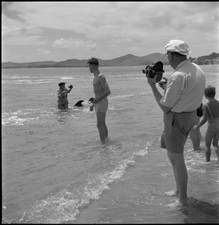 Image: Opo the dolphin, Opononi