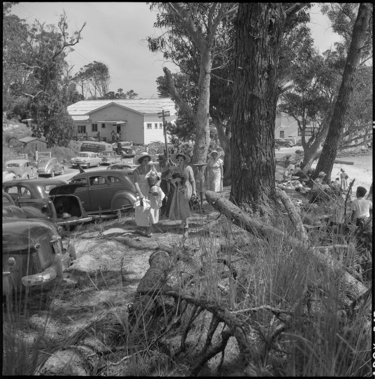 Image: Travellers into Opononi