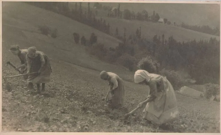 Image: Feldarbeit - Work in the Fields