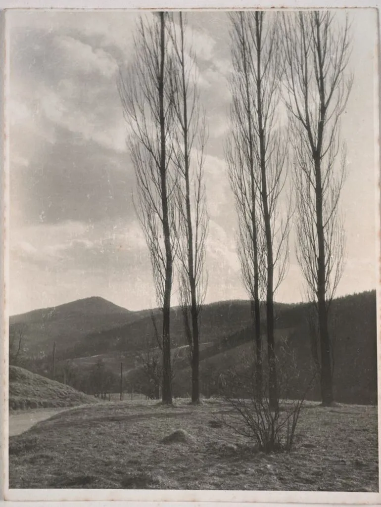 Image: Vorfrühling in Enzenbach - Before spring in the Lower Alps in Styria