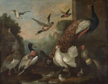 Image: The birds