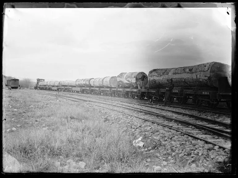 Image: Train kauri logs