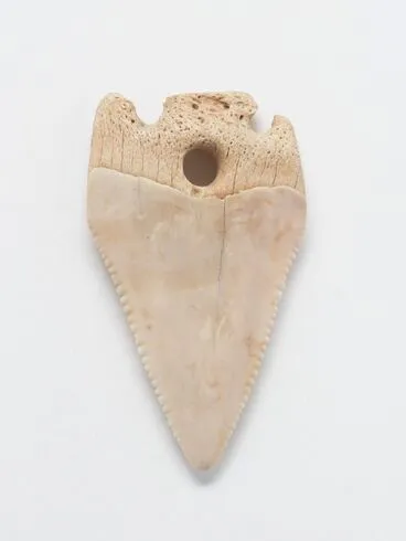 Image: Mako(shark tooth ear pendant)